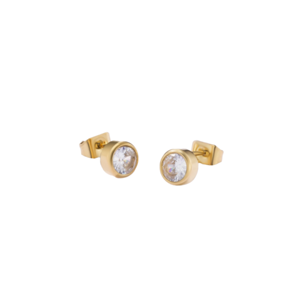product_image044 Σκουλαρίκια Καρφάκια Από Ανοξείδωτο Ατσάλι με Λευκό Διαμάντι - Gold