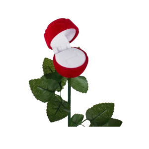 product_image41 Κουτί Δαχτυλιδιού - Τριαντάφυλλο